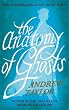 The Anatomy of Ghosts