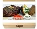 Garten & Freizeit : Kreativkche - NEW YORK STRIP Gewrzkasten und Rezept fr das New Yorker Steak aus dem Grillpfanne. 8 Gewrze befinden sich in einer dekorativen Holzkiste -- Beinhaltet die Geschichte des Gerichtes, eine Inhaltsbeschreibung der Gewrze, das Originalrezept und eine Einkaufliste. Ein ideales Geschenk fr Kochknstler & Hobbykche, solche, die es werden wollen und alle, die neugierig auf fremde Welten sind. Ma§e: 11,4 x 9,5 cm, 3,4 cm hoch