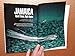 National Geographic 1985 01 * Jan * The Planet