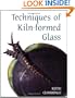 Techniques of Kiln-formed Glass