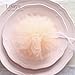 Ling's moment Tulle Roll Spool Tutu Skirt Fabric 6 Inch x 100 Yards (Peach)