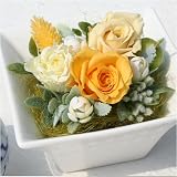 �������� �v���U�[�u�h�t�����[�u�����V�[�v�C�G���[ ���F