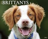 Just Brittanys 2012 Calendar