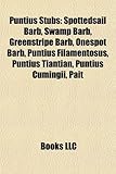 Puntius Introduction: Spottedsail Barb, Swamp Barb, Greenstripe Barb, Onespot Barb, Puntius Filamentosus, Puntius Tiantian, Puntius Cumingii-