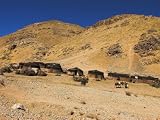 Aimaq Nomad Camps, Near Village of Jam, Ghor (Ghowr Province), Afghanistan Art Photographic Poster Print by Jane Sweeney, 24x18