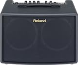AC60 2x6.5\"Acoustic Guitar Combo Amplifer