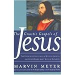 The Gnostic Gospels of Jesus: The Definitive Collection of Mystical Gospels and Secret Books about Jesus of Nazareth book cover