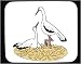 Decorated Mouse Pad with cranes, white, nest, eggs, bird