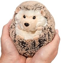 Spunky Hedgehog
