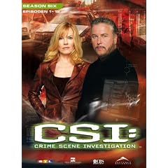 CSI: Crime Scene Investigation - Season 6.1 (3 DVDs)