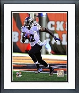 Baltimore Ravens 2014 NFL Action Photo (Size: 26.5