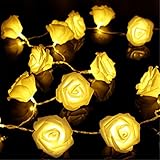 KINGSO 20 LED Battery Operated Rose Flower String Lights Wedding Garden Christmas Decor (Warm White)