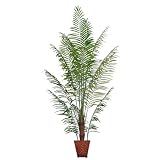Laura Ashley  7′ Areca Palm Tree