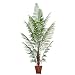 Laura Ashley  7' Areca Palm Tree