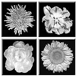Black and White Floral Photography Wall Plaque Set