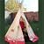 Childrens Garden Play Wigwam