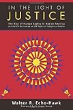 In the Light of Justice: The Rise of Human Rights in Native America and the UN Declaration on the Rights of Indigenous Peoples