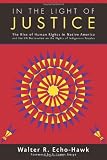 In the Light of Justice: The Rise of Human Rights in Native America and the UN Declaration on the Rights of Indigenous Peoples