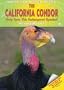 The California Condor: Help Save This Endangered Species! (Saving Endangered Species)