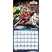 Spiderman 2015 Wall Calendar by Trends International
