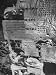 Close Up of Official Government Notices and Orders on Wall of Town Hall Photographic ...