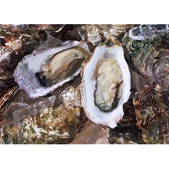 【送料無料・産地直送】広島産殻付き 生牡蠣(カキ) 大粒2kg(20個程度)贈答用化粧箱入 送料込　生かき　生カキ