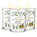 Magnificent 101 Set of 3 Long Lasting Pure Sage Smudge Candles - 42 Hour Burn, 3.5 Oz Each, Made with Soy Wax and Herb, Ideal for House Energy Cleansing, Meditation & Manifestation