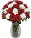 Two Dozen Forever Yours Roses without Vase