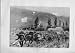 Ox Team At Work Transvaal War Antique Print 1899
