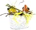 Dijon Special Gourmet French Dijon mustard gift basket with spreader - choose flavors Image