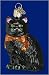 Halloween Kitty