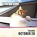 I Can Has Cheezburger? 2014 Day-to-Day Calendar