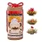 Primula Flowering Black Tea with Earl Grey 12-pk.