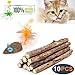 Cat Catnip Sticks Natural Matatabi Silvervine Sticks - Cleaning Teeth Molar Tools Kitten Cat Chew Toy Natural Catnip Mouse Cat Toy (10 PCS)