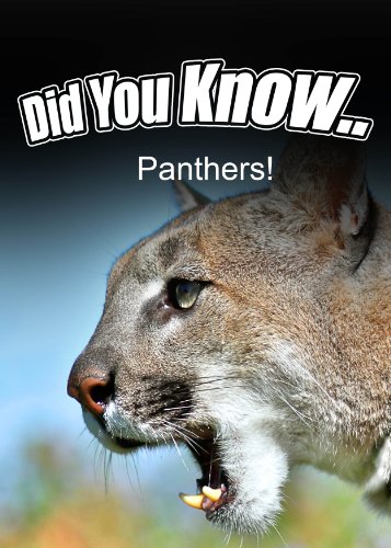 Panthers