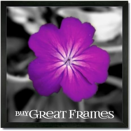 Set of 2 -12x12 Square Gallery Black Wood Picture Frames and Clear Glass