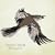 Mockingbird