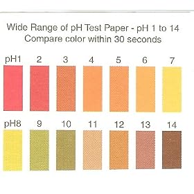 PH STRIPS - STUDENT GRADE 1-14