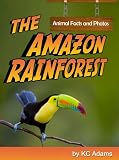The Amazon Rainforest: Animal Facts & Photos