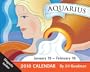 Aquarius: 2010 Mini Day-to-Day Calendar