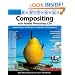 Real World Compositing with Adobe Photoshop CS4