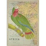 Parrot on Map of Africa Cavallini Gift Wrap Decoupage paper,vintage poster print, One