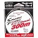 }geOX(YAMATOYO) XsjOt GRpbN 300m i` 4lb