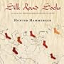 Silk Road Socks