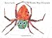 La Arana Muy Ocupada = Very Busy Spider