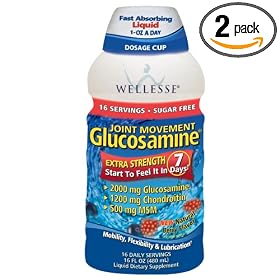 Wellesse Joint Movement Glucosamine with Chondroitin + MSM, Natural Berry Flavor, 16-Ounce (480 ml) (Pack of 2)