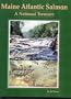 Maine Atlantic Salmon: A National Treasure