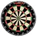 Regent Halex Official Size Tournament Bristle Dartboard (Black/Red, 18-Inch)