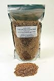 Organic Triticale Seeds - 2.5 Lbs - Seed In Resealable Bag- Triticale Is A Grain Hybrid of Wheat & Rye - Perfect for Sprouting Sprouts, Cooking, Grinding For Flour, Soup, Toasting, Food Storage & More.
