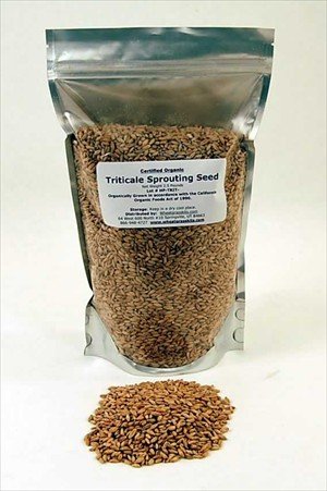 Organic Triticale Seeds - 2.5 Lbs - Seed In Resealable Bag- Triticale Is A Grain Hybrid of... by Handy Pantry